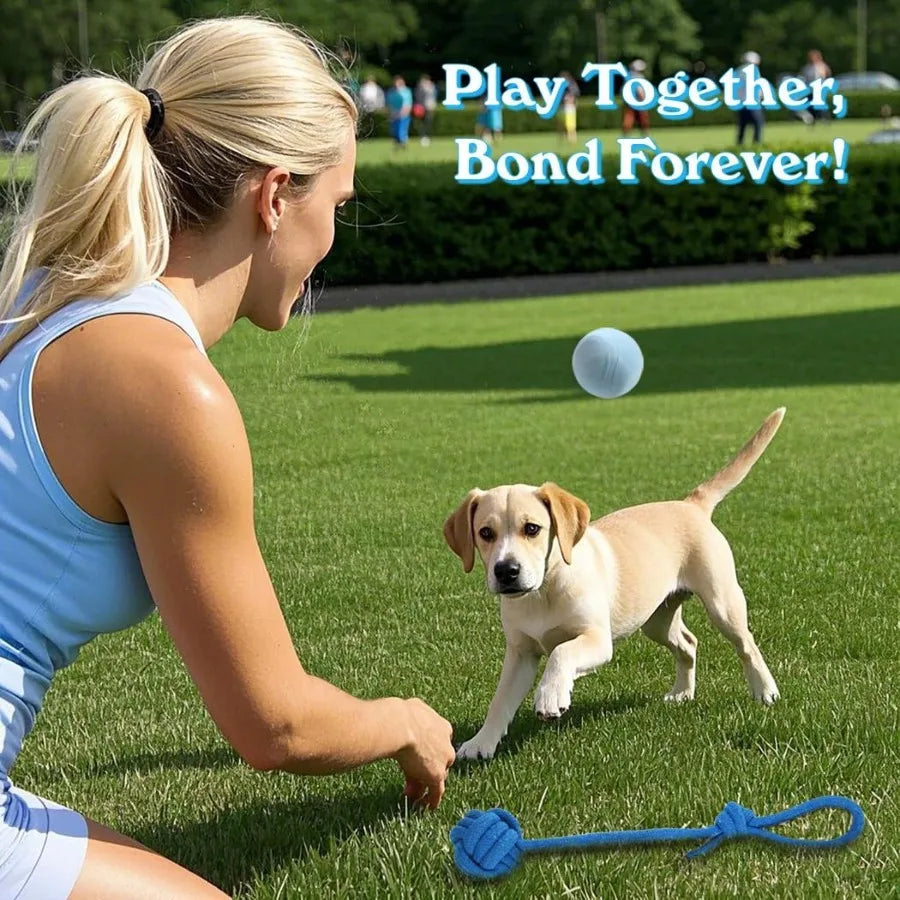 20 Pack Blue Puppy Chew Toys For Small Breeds Teething