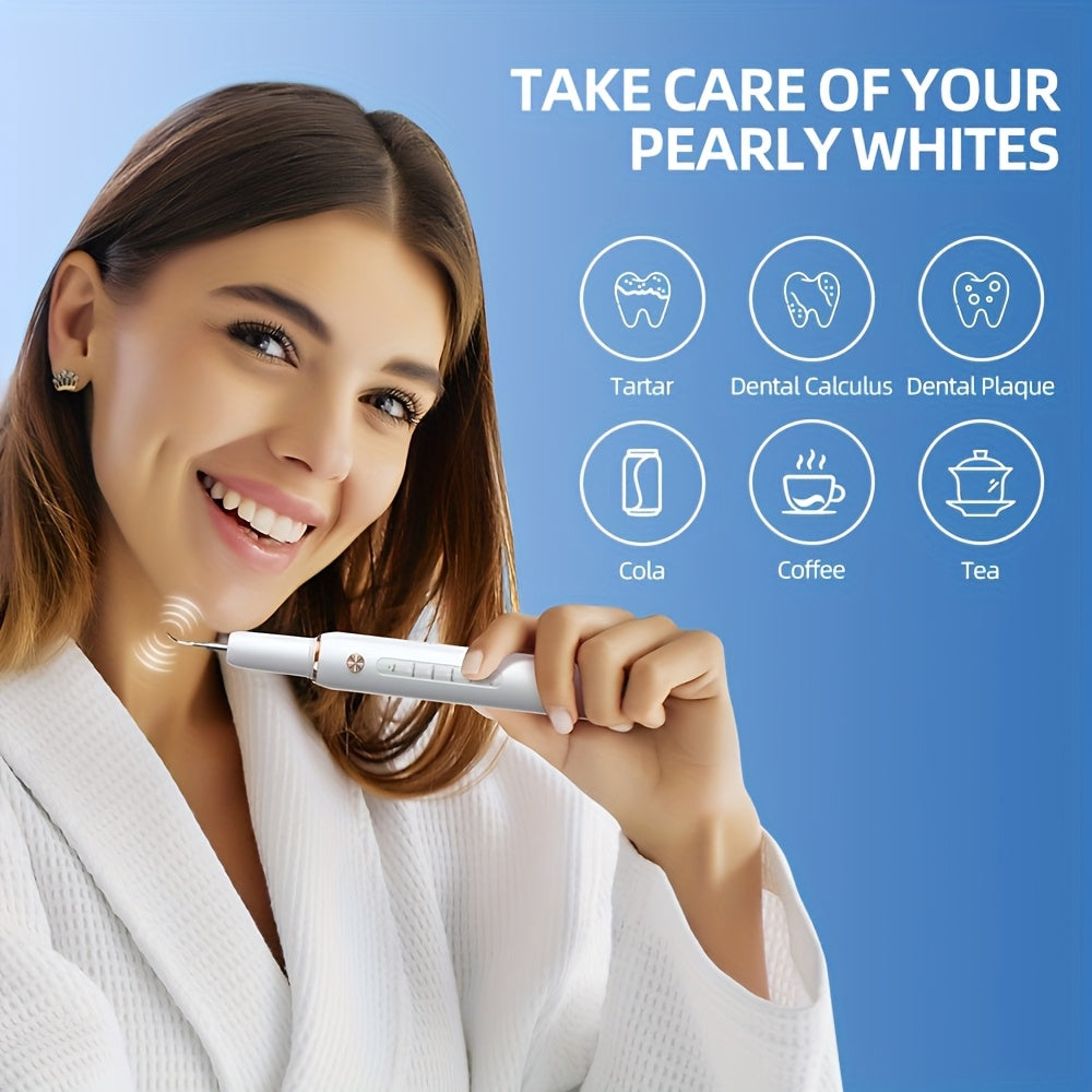 Electric Dental Scaler Replaceable Head LED Light USB