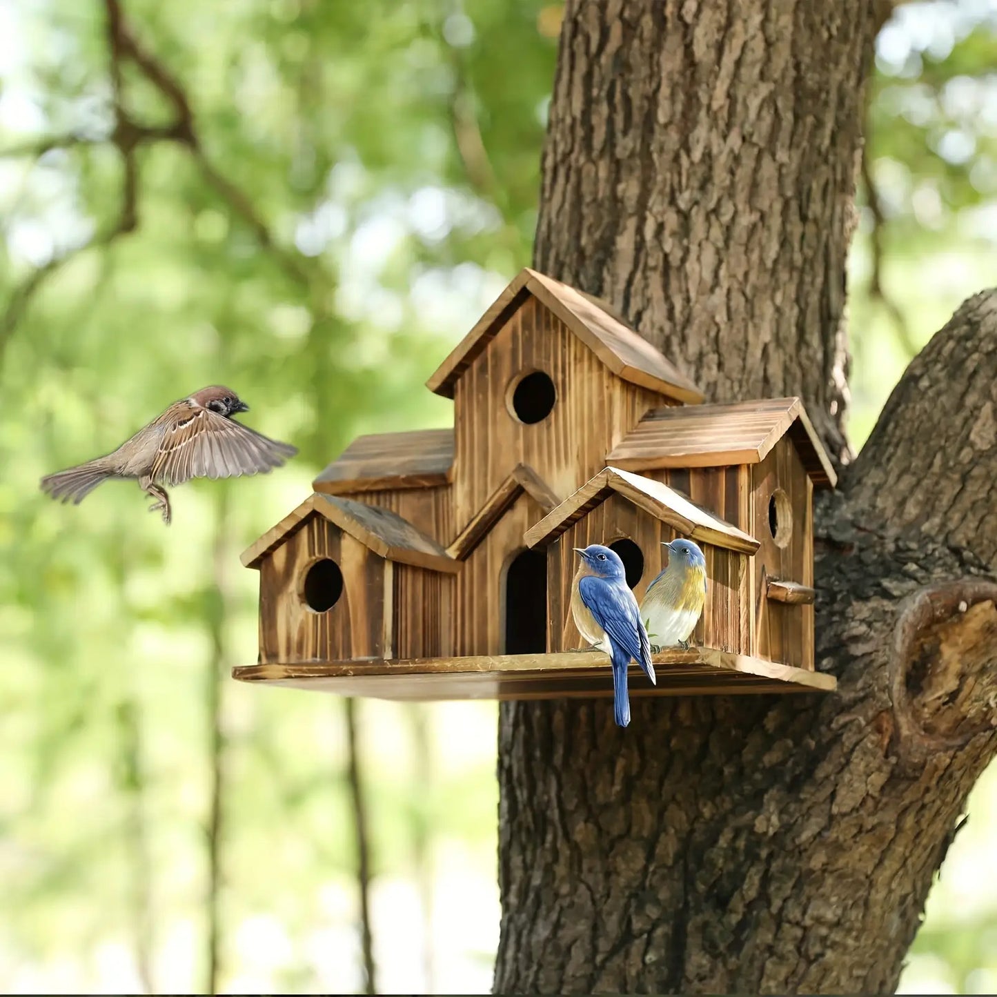 Handmade Wood Hummingbird House and Goldfinch Nest Box Wall Mount