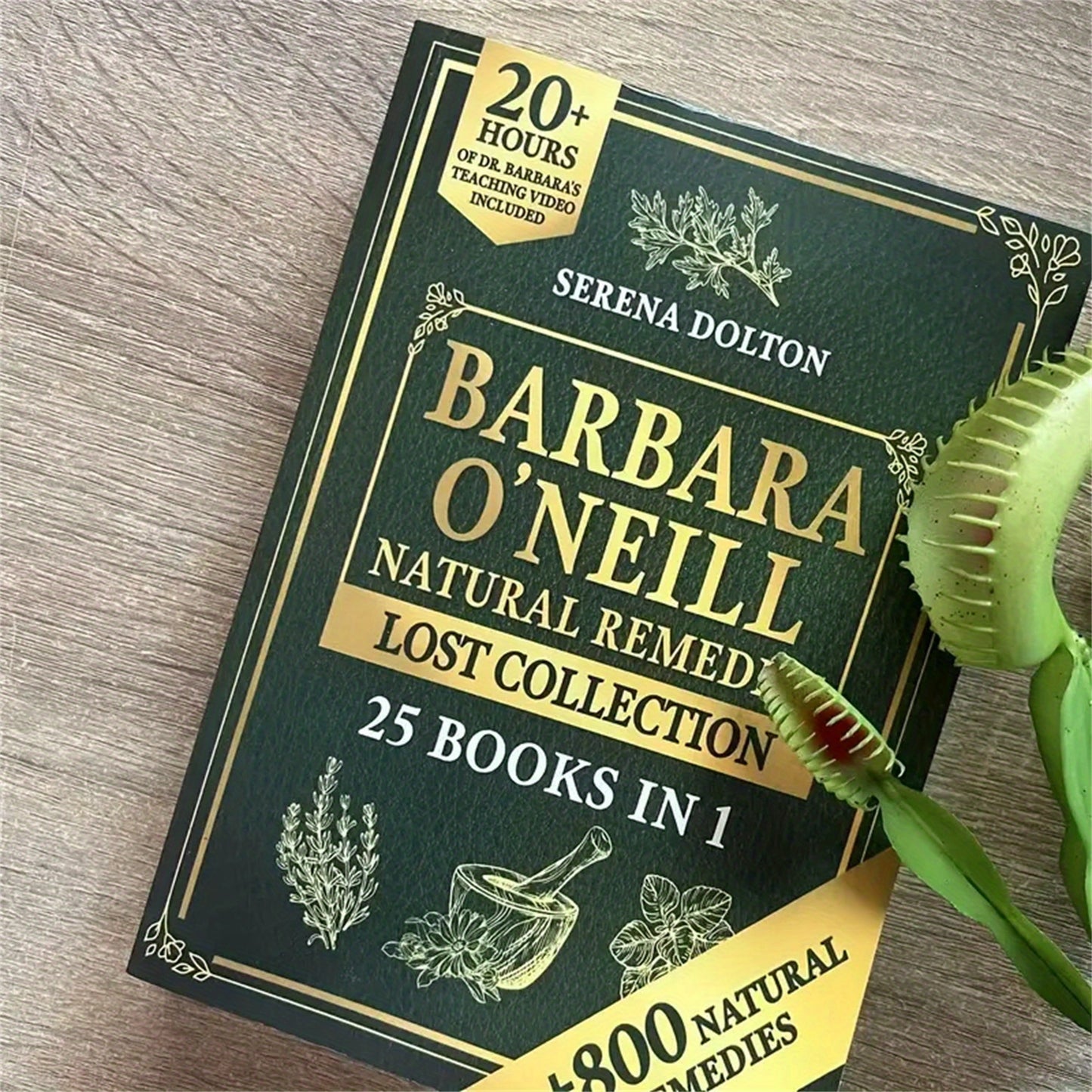 Barbara ONeill Collection Natural Therapies Herbal Guide