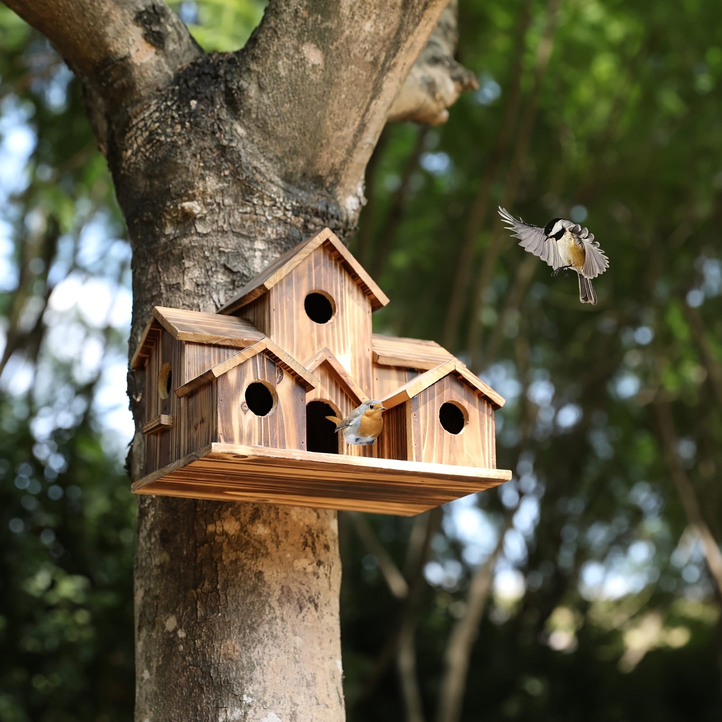Handmade Wood Hummingbird House and Goldfinch Nest Box Wall Mount