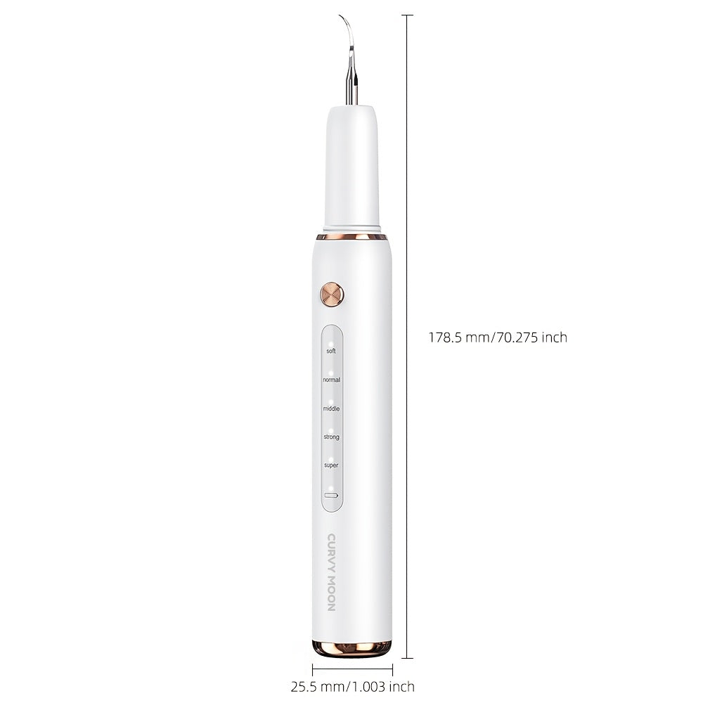 Electric Dental Scaler Replaceable Head LED Light USB