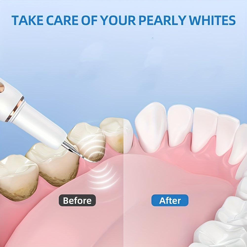 Electric Dental Scaler Replaceable Head LED Light USB