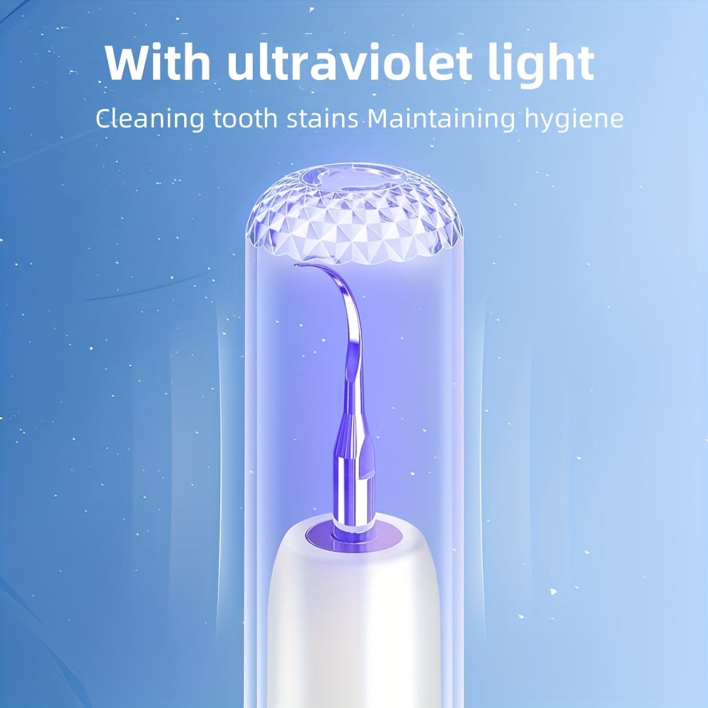 Electric Dental Scaler Replaceable Head LED Light USB