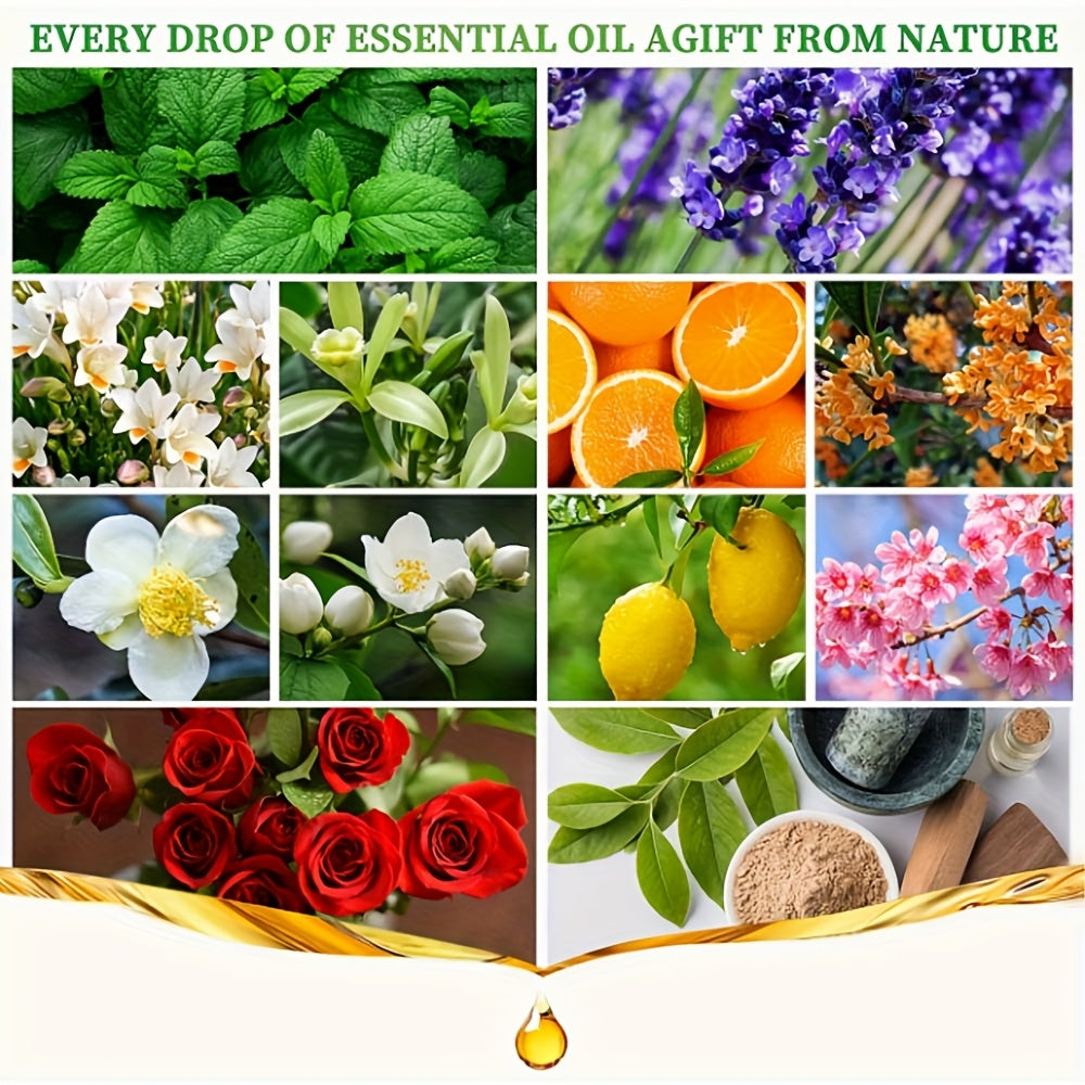 24 Piece Essential Oil Christmas Gift Set For Diffuser