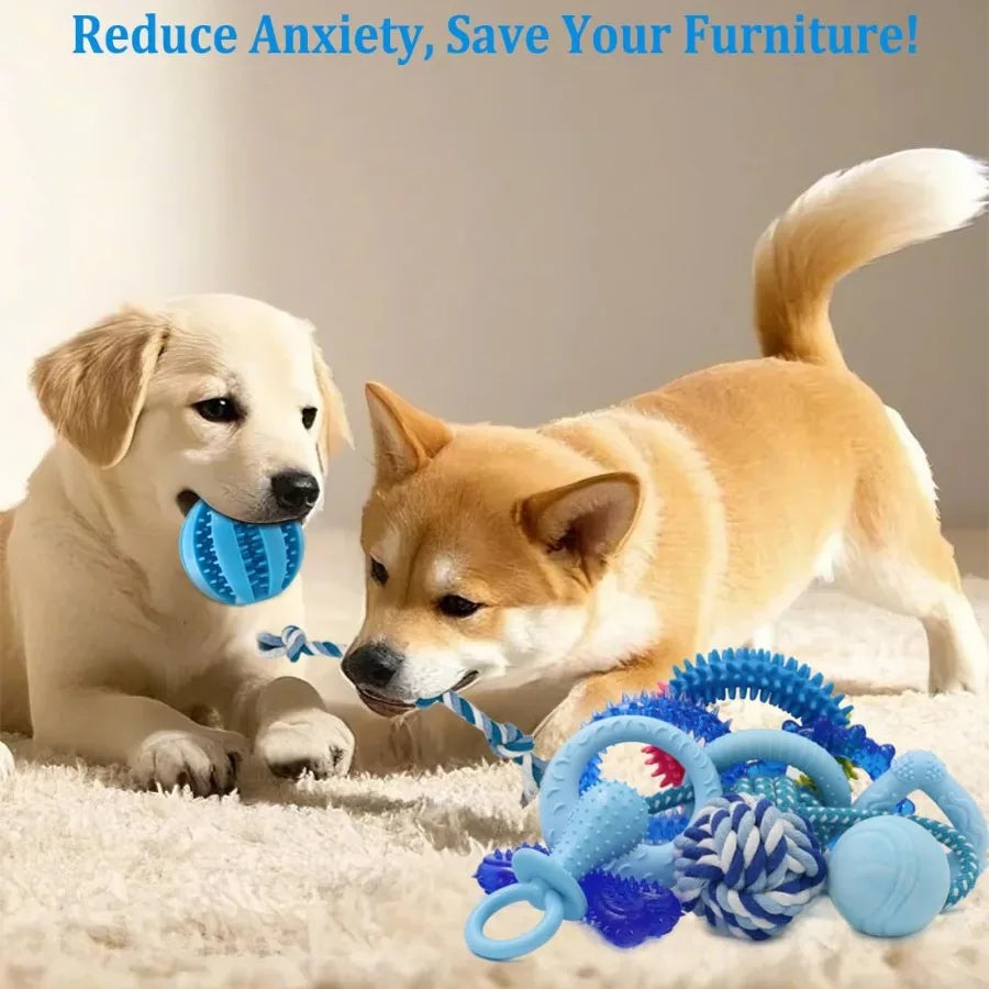 20 Pack Blue Puppy Chew Toys For Small Breeds Teething