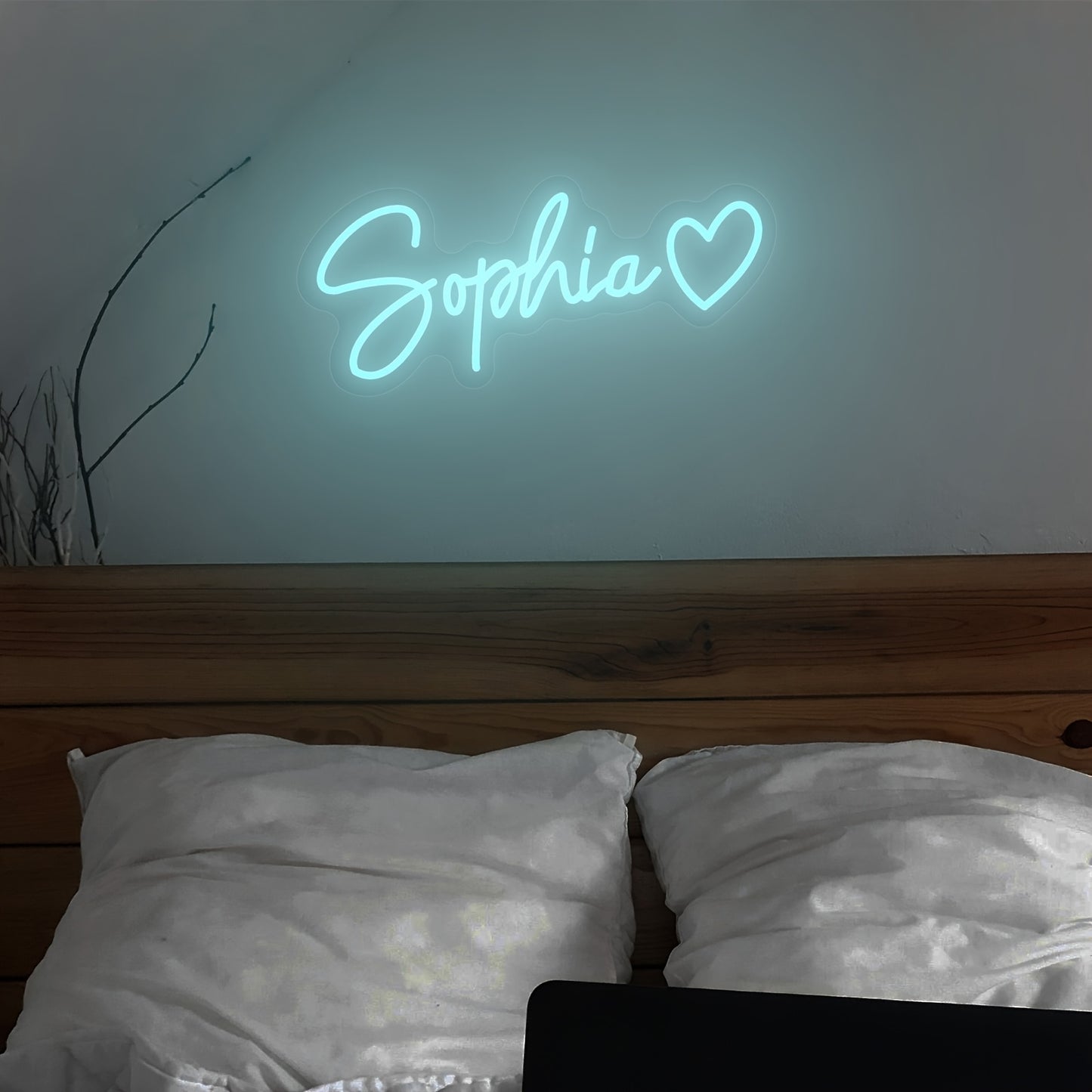 Custom Heart Shaped LED Neon Light USB Wall Mount Decor