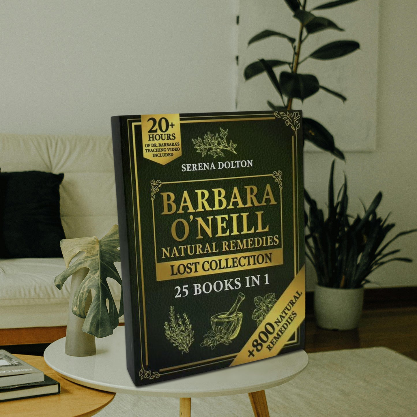 Barbara ONeill Collection Natural Therapies Herbal Guide