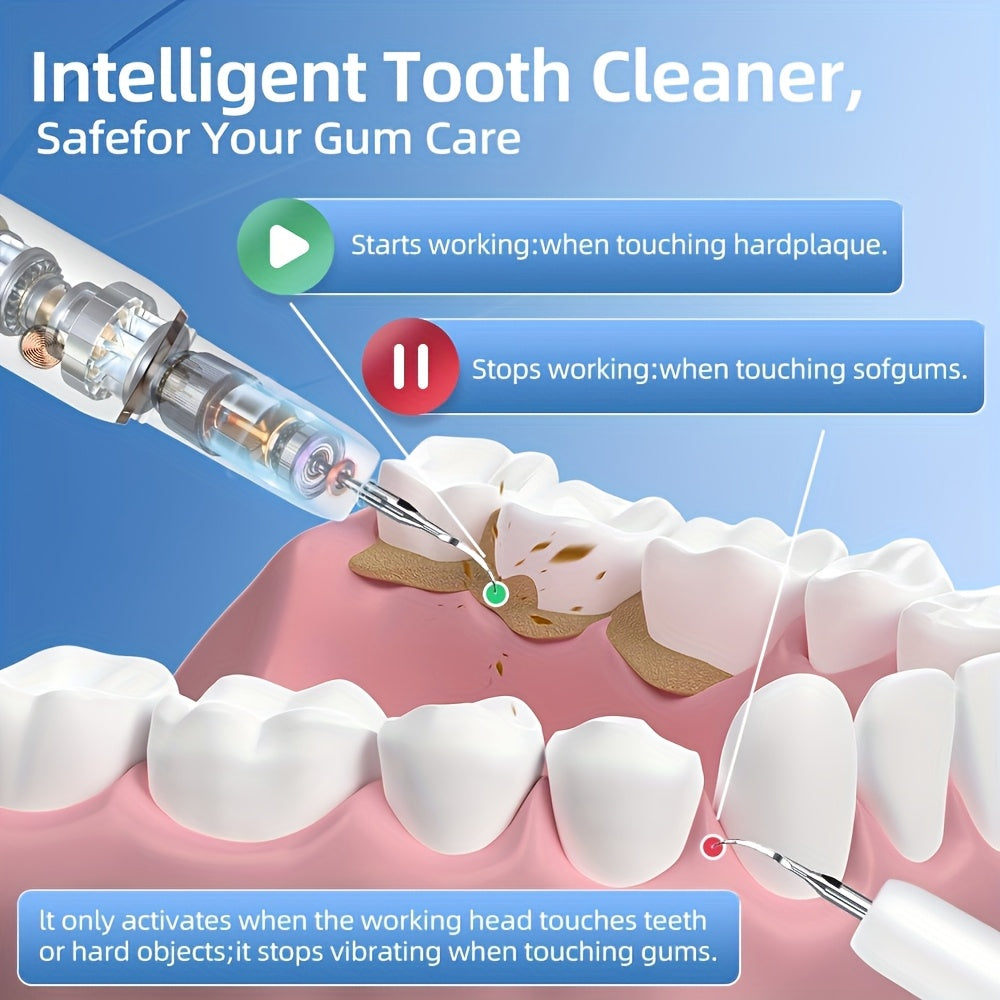 Electric Dental Scaler Replaceable Head LED Light USB