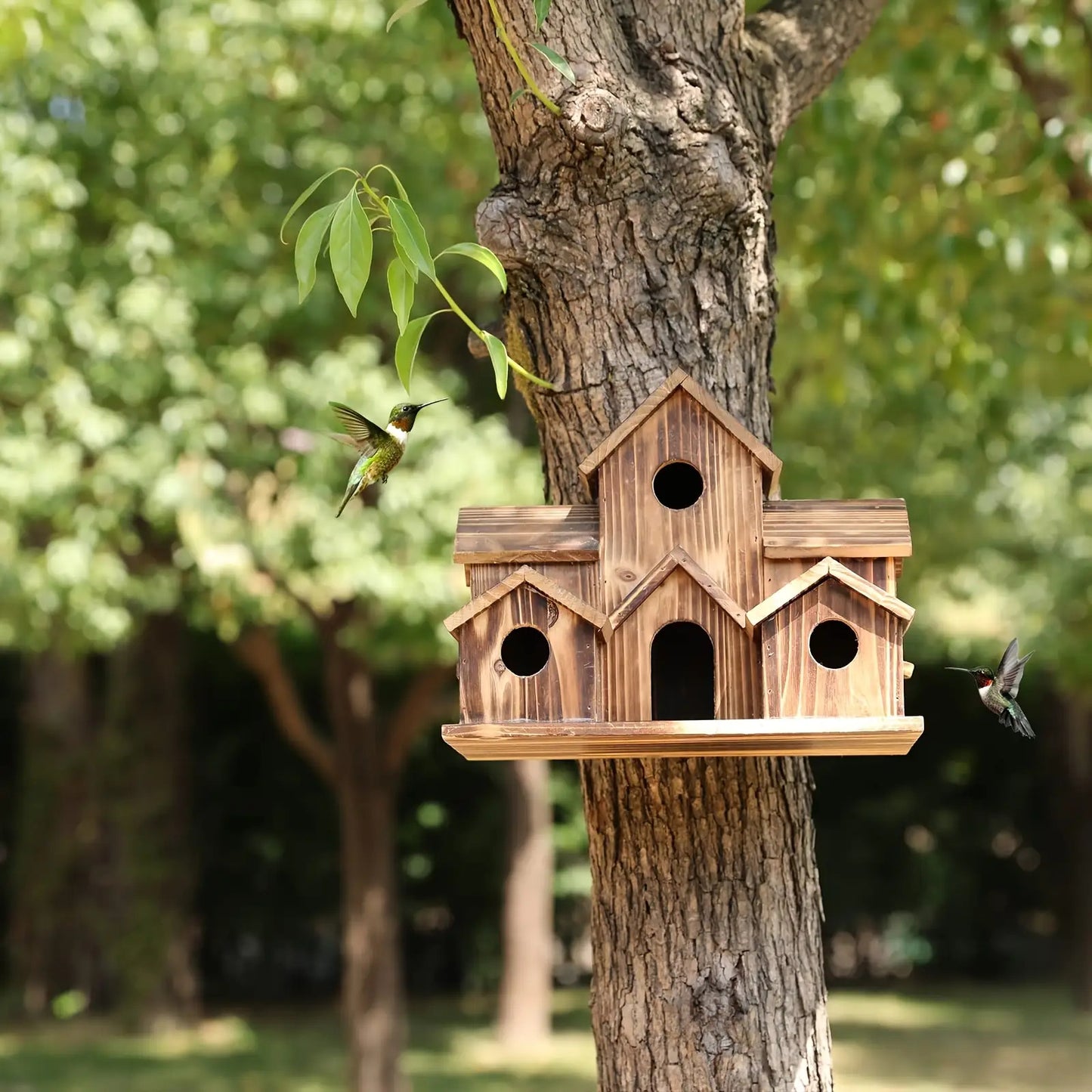 Handmade Wood Hummingbird House and Goldfinch Nest Box Wall Mount